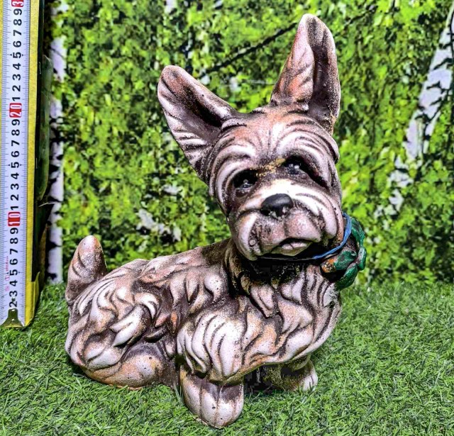 йорк длинноухий